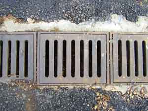 Sewer grate